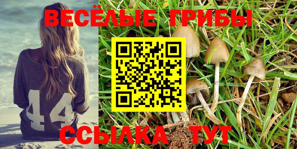 Псилоцибиновые грибы Magic Shrooms Прокопьевск