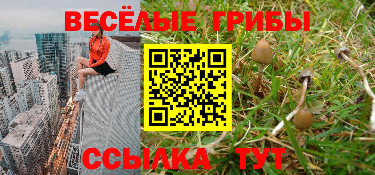 Прокопьевск  Псилоцибиновые грибы Magic Shrooms  Вход с VPN 